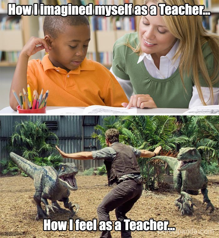 Teacher memes