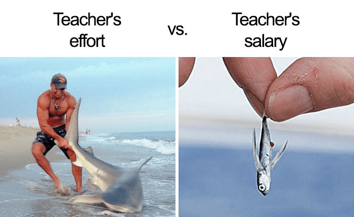 Teacher memes