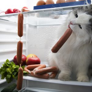 cat-sausages-funny-fridge