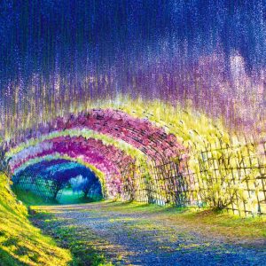 wisteria-tunnel-kawachi-gardens-japan_