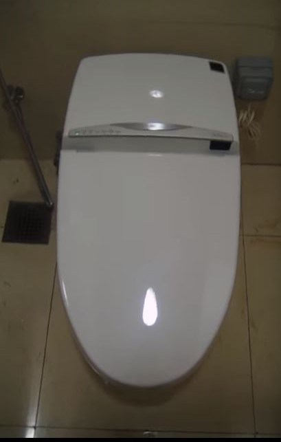 craziest toilet designs