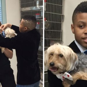 This-12-year-old-boy-sews-neckwear-for-shelter-puppies-to-make-them-look-better-in-photos-so-they-can-be-adopted-faster-5d0cb0f855019__700