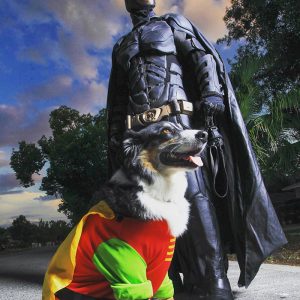 real-life-batman-rescues-animals-from-shelter-1-5d272733c2462__700.jpg