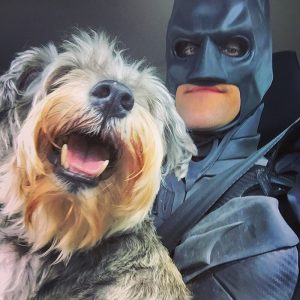 real-life-batman-rescues-animals-from-shelter-2-5d2727368d053__700.jpg