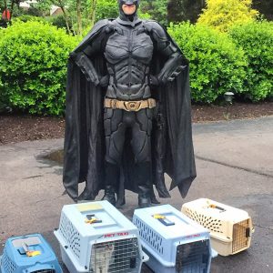 real-life-batman-rescues-animals-from-shelter-5d2735279956a__700.jpg