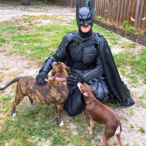 real-life-batman-rescues-animals-from-shelter-7-5d27274577202__700.jpg