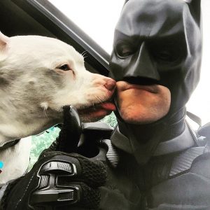 real-life-batman-rescues-animals-from-shelter-8-5d27274847666__700.jpg