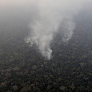 2019-08-22t000000z-1053839186-rc137cf50090-rtrmadp-3-brazil-environment-wildfires.jpg