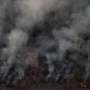 2019-08-22t114712z-203095302-rc1d46bc8890-rtrmadp-3-brazil-environment-wildfires-1.jpg