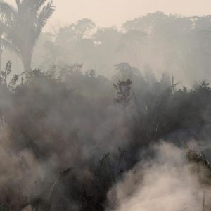2019-08-22t114811z-805962883-rc1f6e321470-rtrmadp-3-brazil-environment-wildfires.jpg