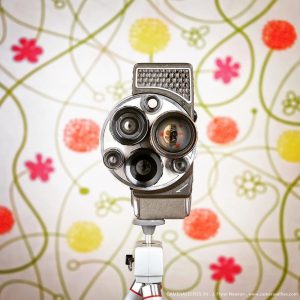 What-If-Vintage-Cameras-had-Profiles-on-Instagram-New-CameraSelfies-5d3ffebb70345__880