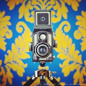 What-If-Vintage-Cameras-had-Profiles-on-Instagram-New-CameraSelfies-5d400129e0ea6__880