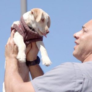 veterinarian-helps-homeless-people-pets-kwane-stewart-5e56333f1494e__700